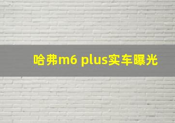 哈弗m6 plus实车曝光